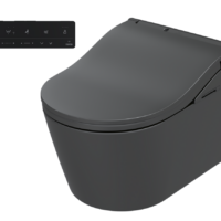 Washlet RW (matt-must)