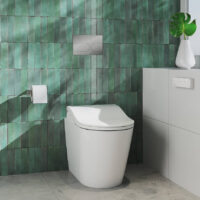 Washlet RW Auto Flush (hõbe)